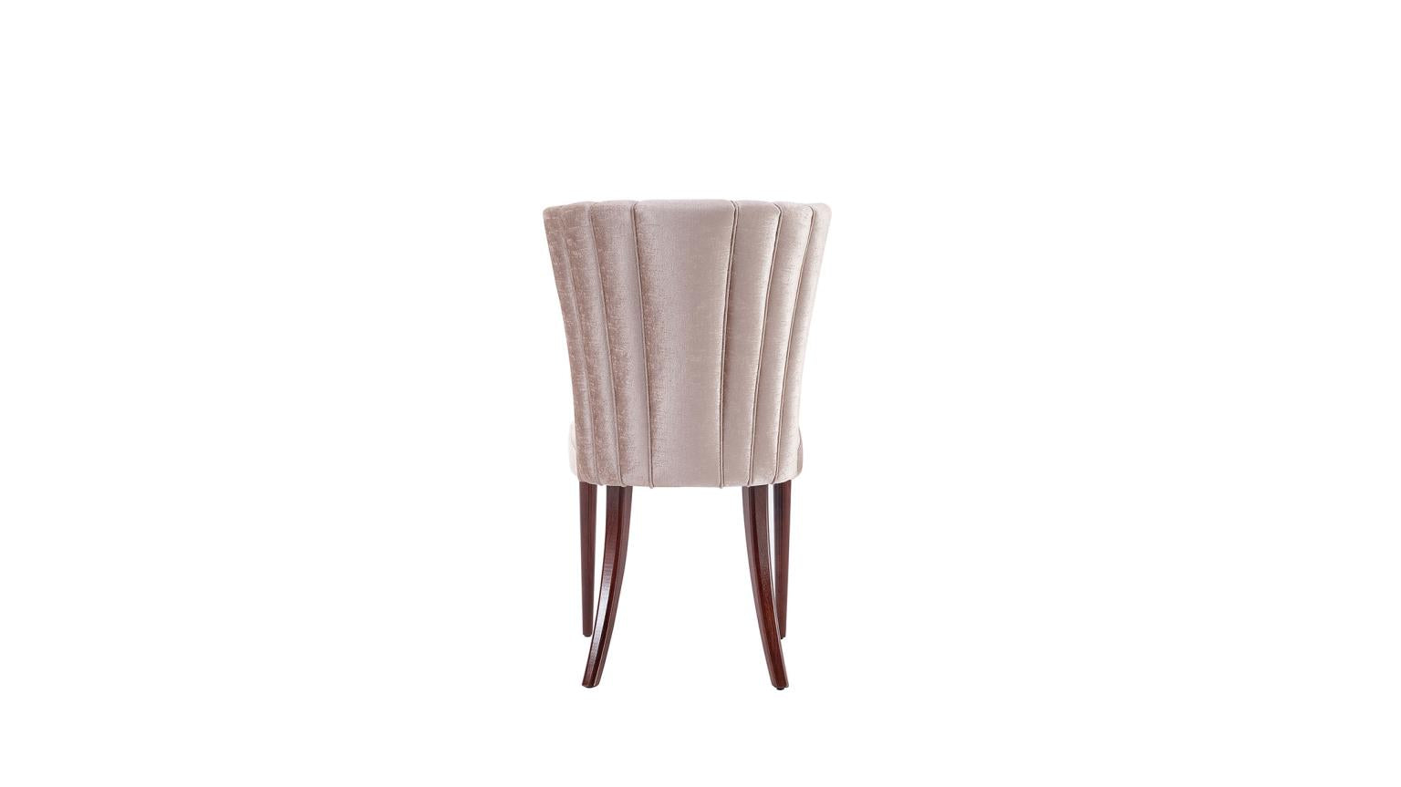 Plaza Dining Chair (2pcs) - Home Store Furniture